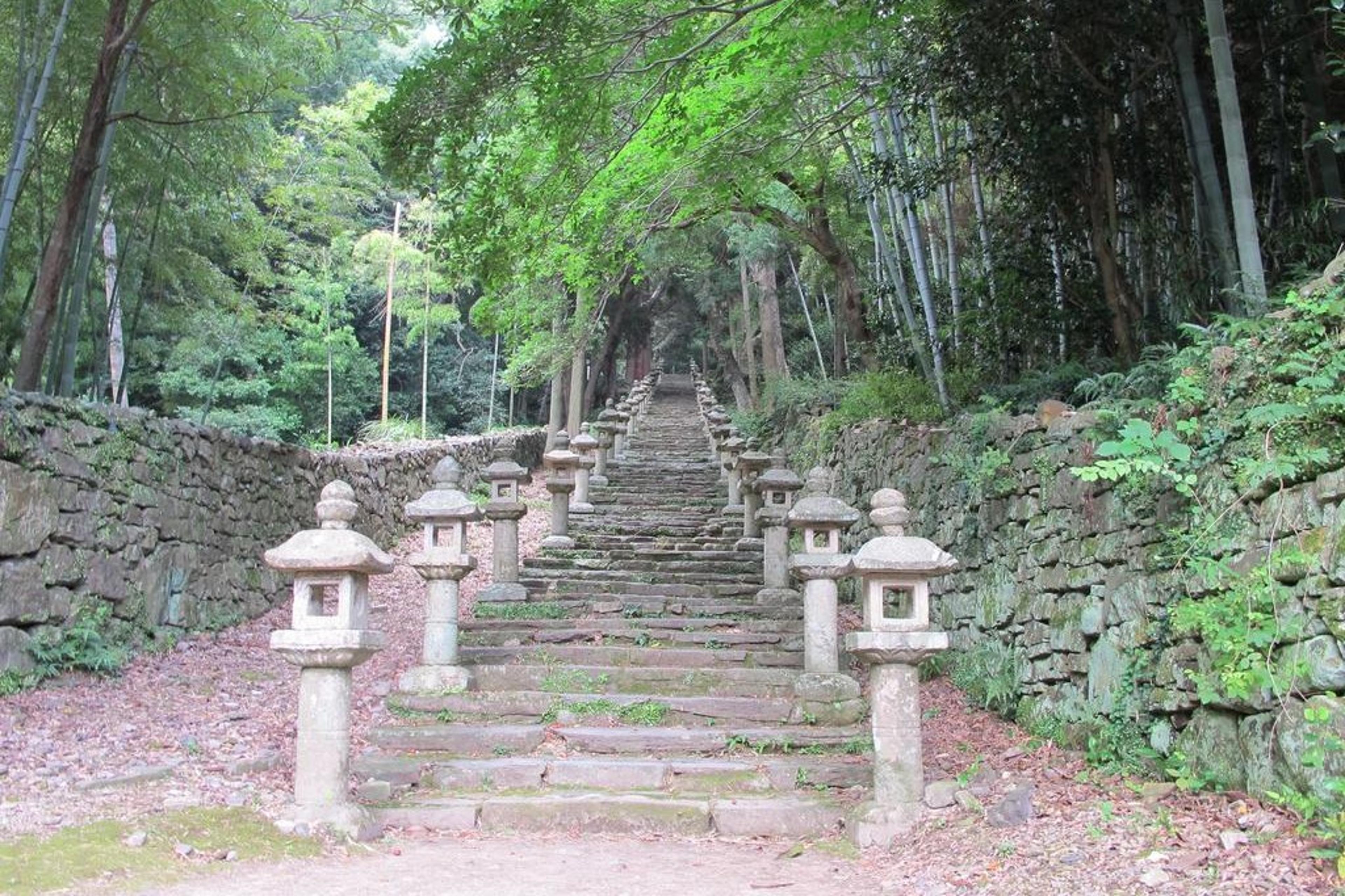 日本三大墓地の一つ！