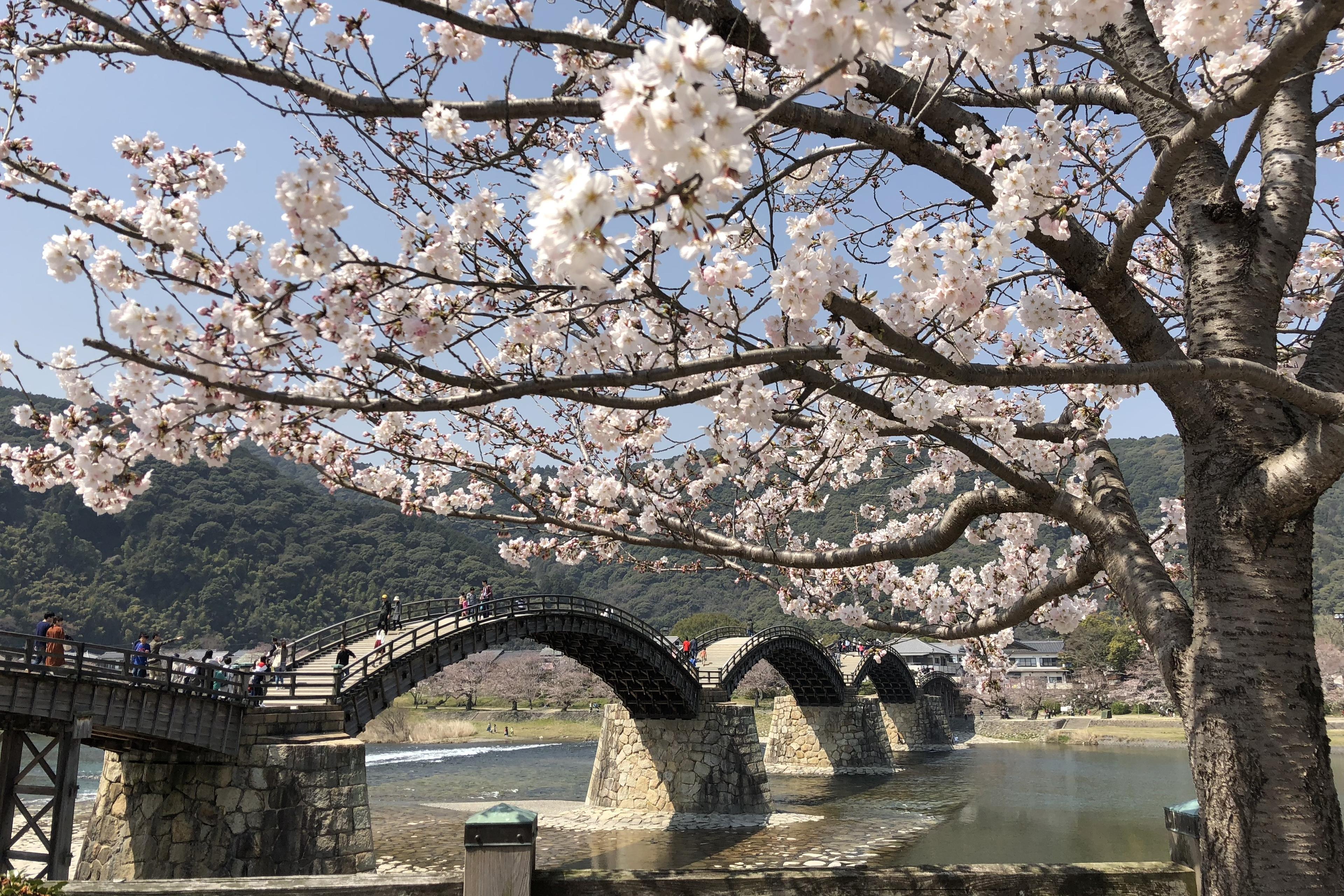 人気観光スポット錦帯橋・宮島の観光拠点