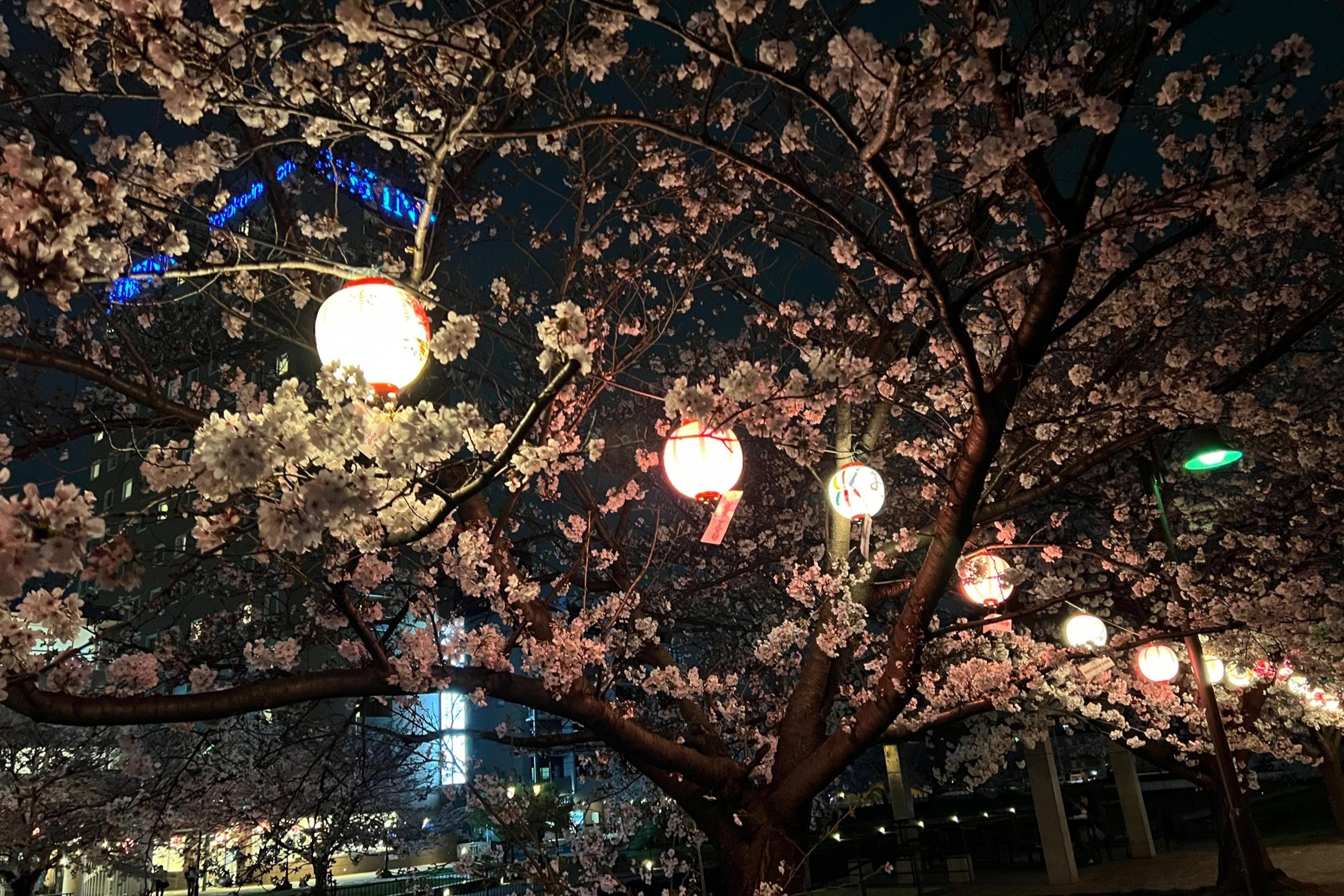 におどり公園まで徒歩０秒！！