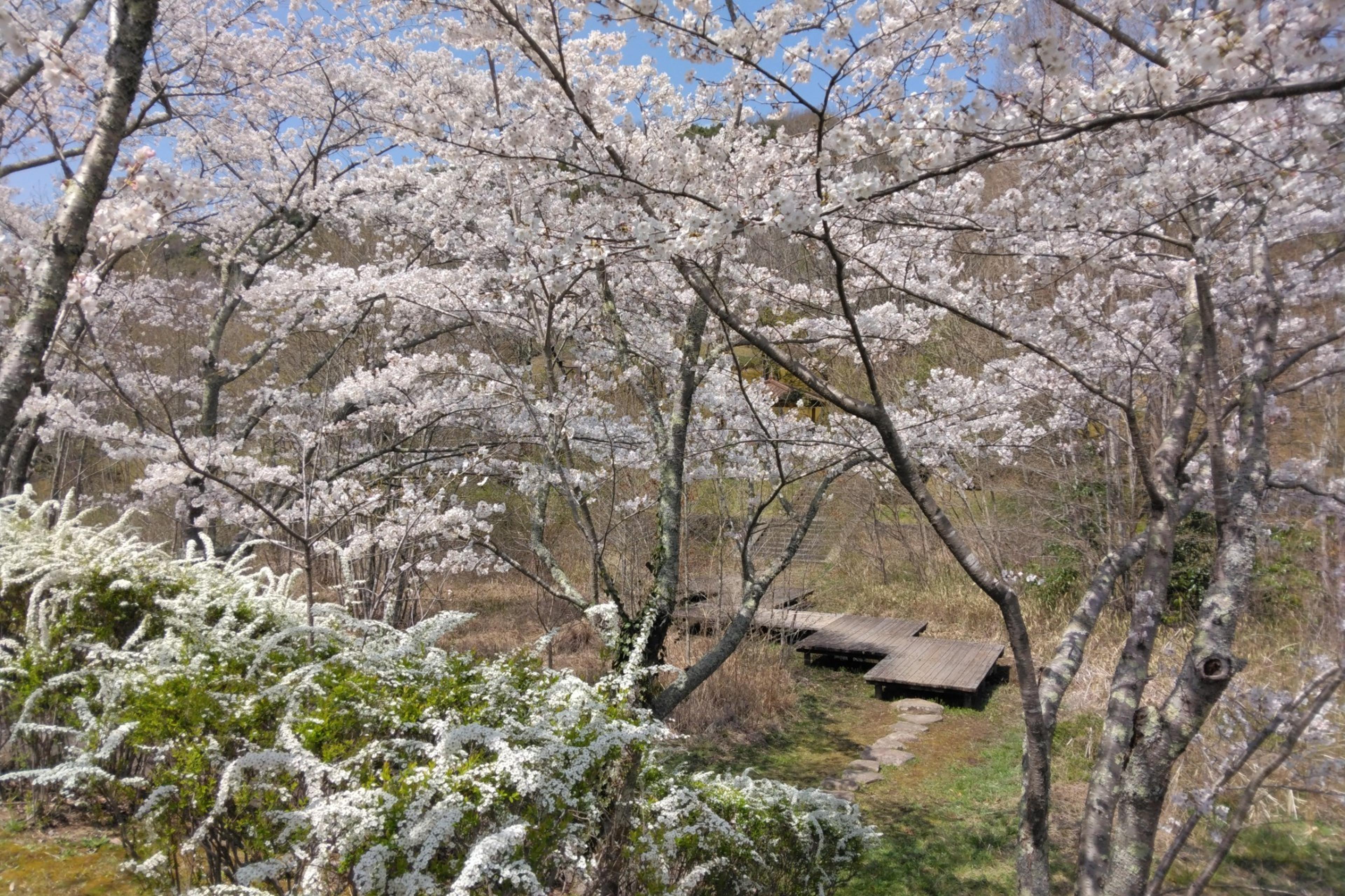 鏡山公園の散策がおススメ！