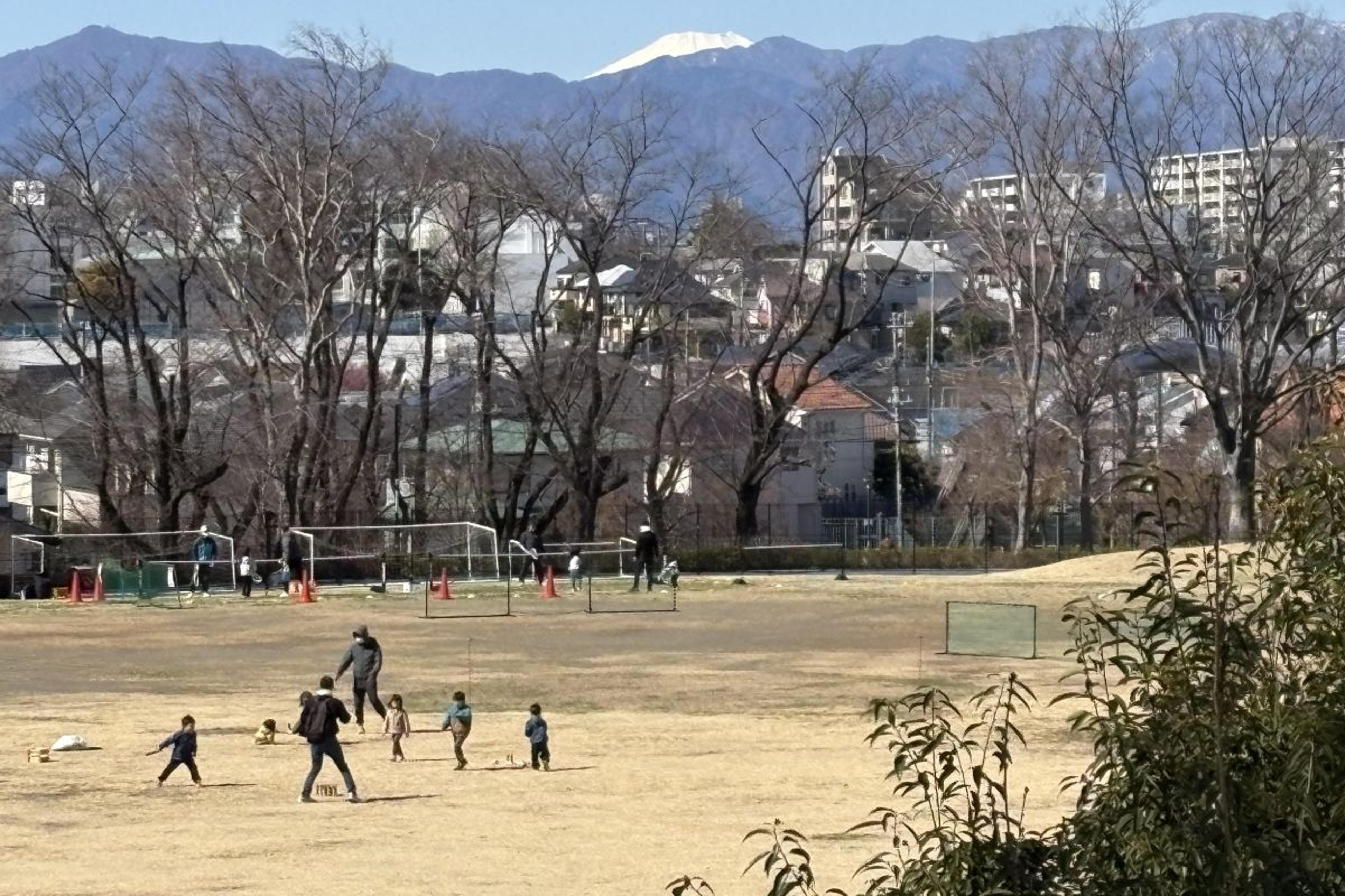 自然豊かな公園ですごしませんか？