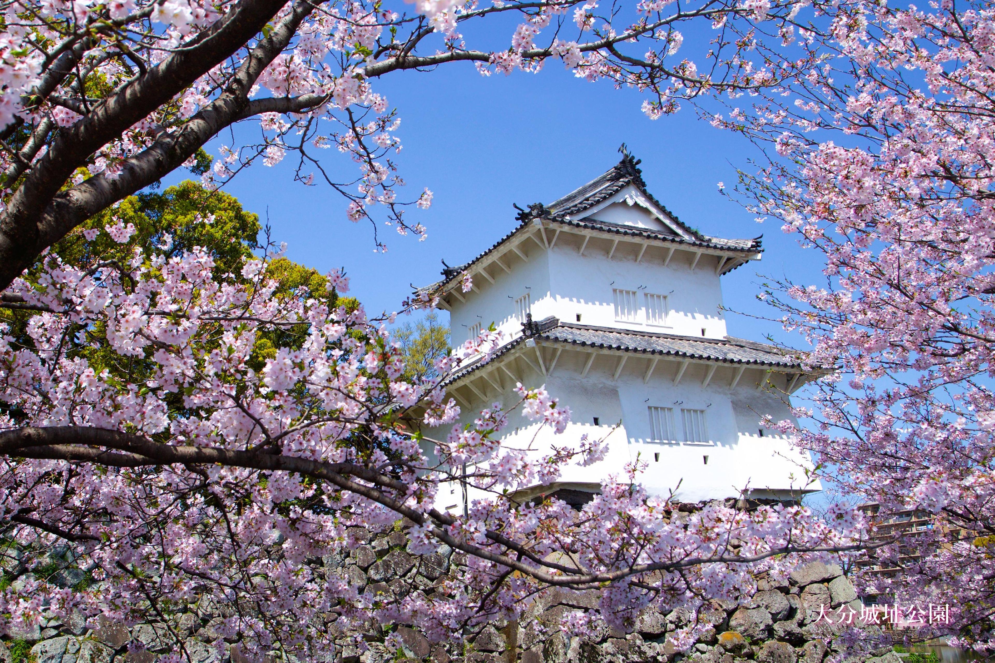 散歩にオススメ！！大分城址公園・府内城址