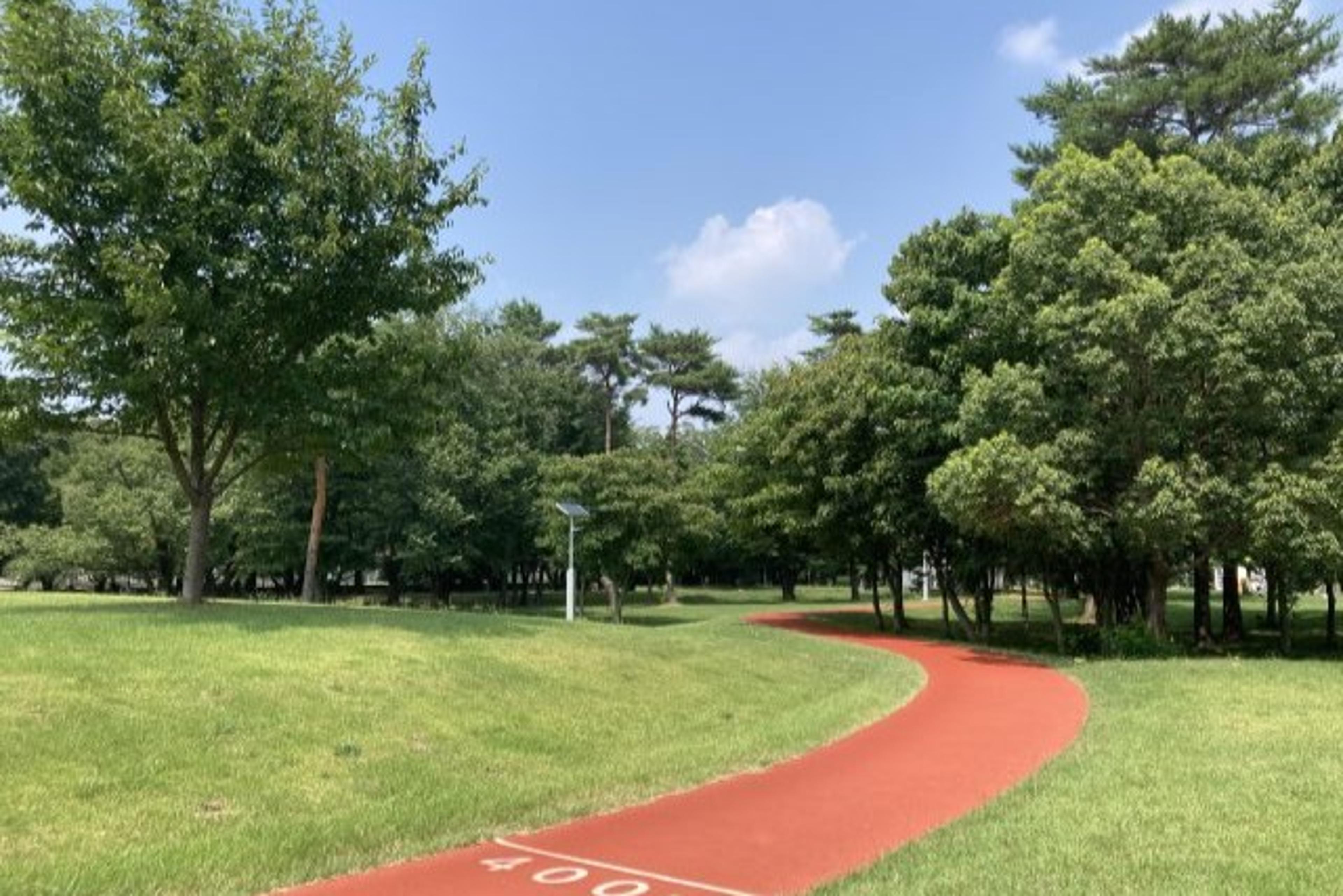 樹林公園でほっと一息。