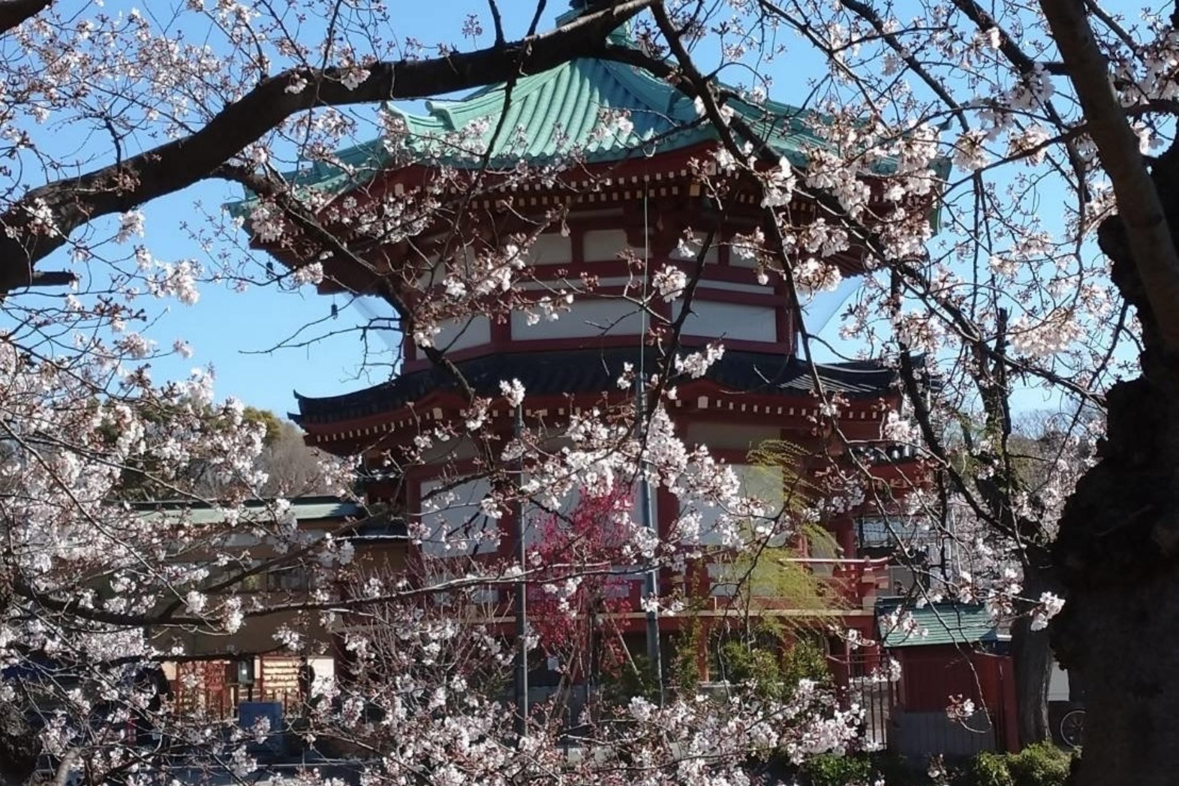 上野恩賜公園で自然と文化を！