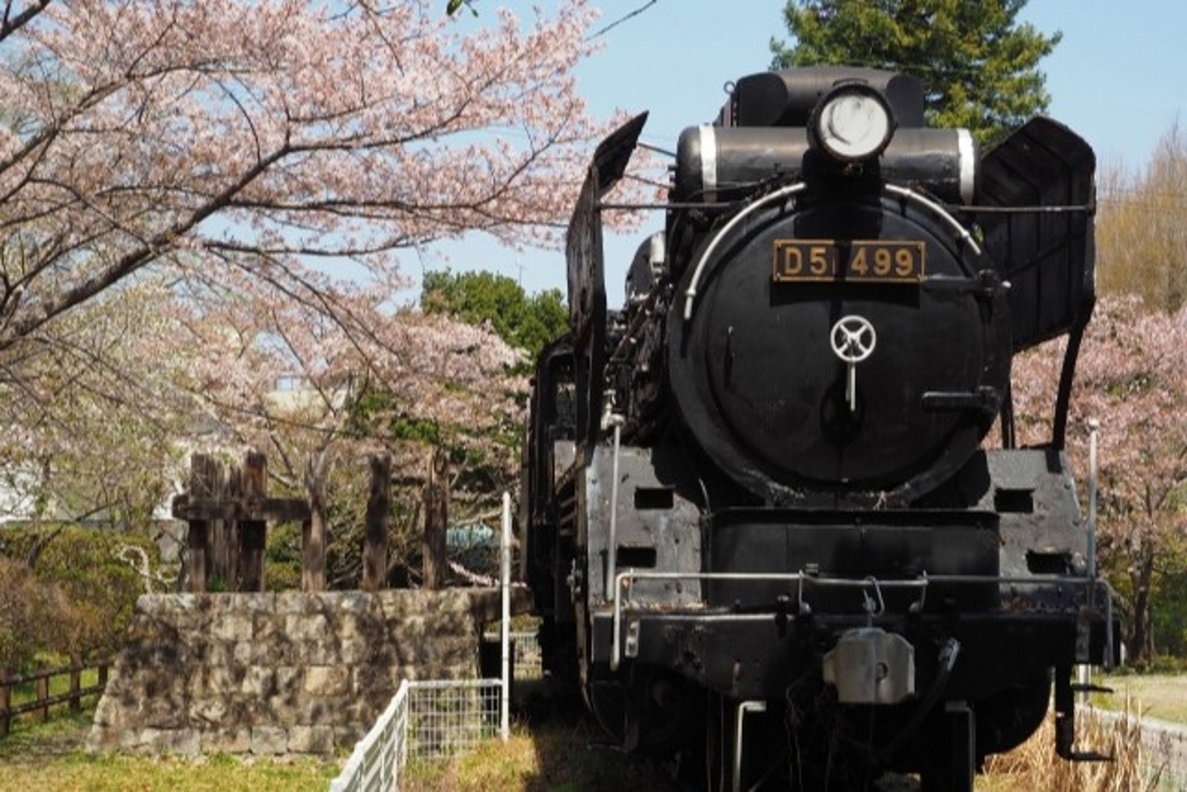 偕楽公園～四季の景色が楽しめる公園～