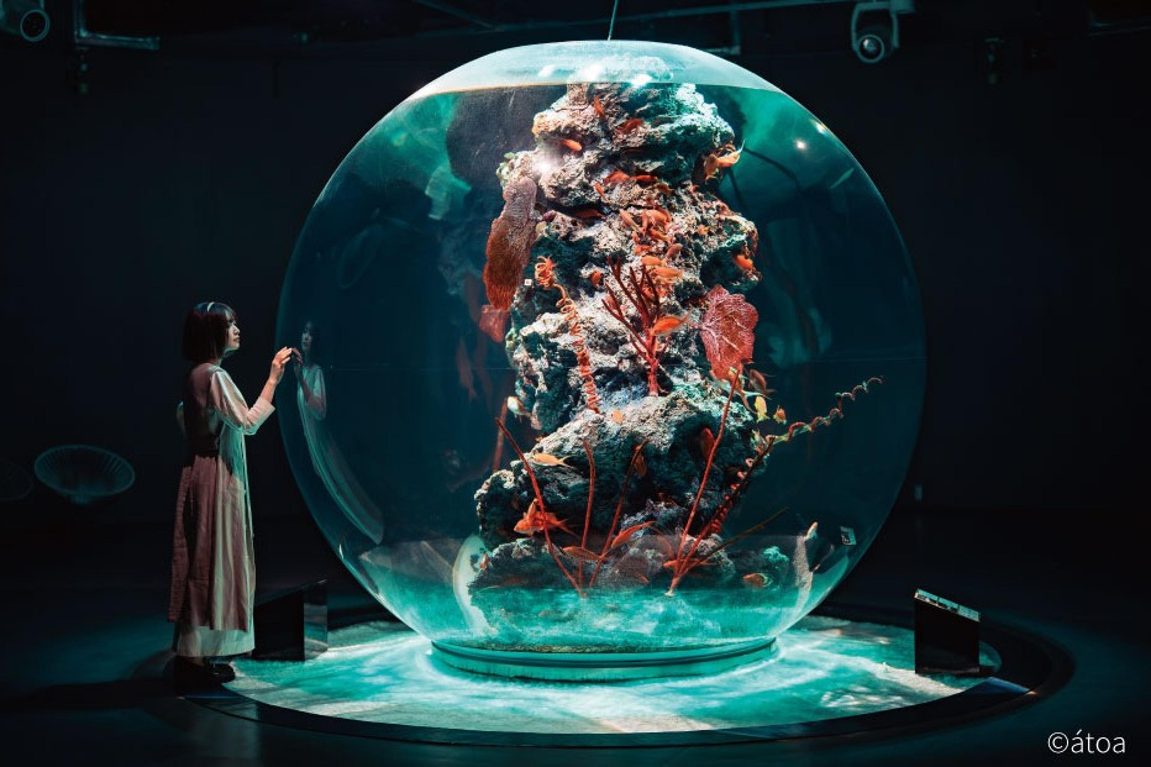 最新の水族館へぜひお越しください♪
