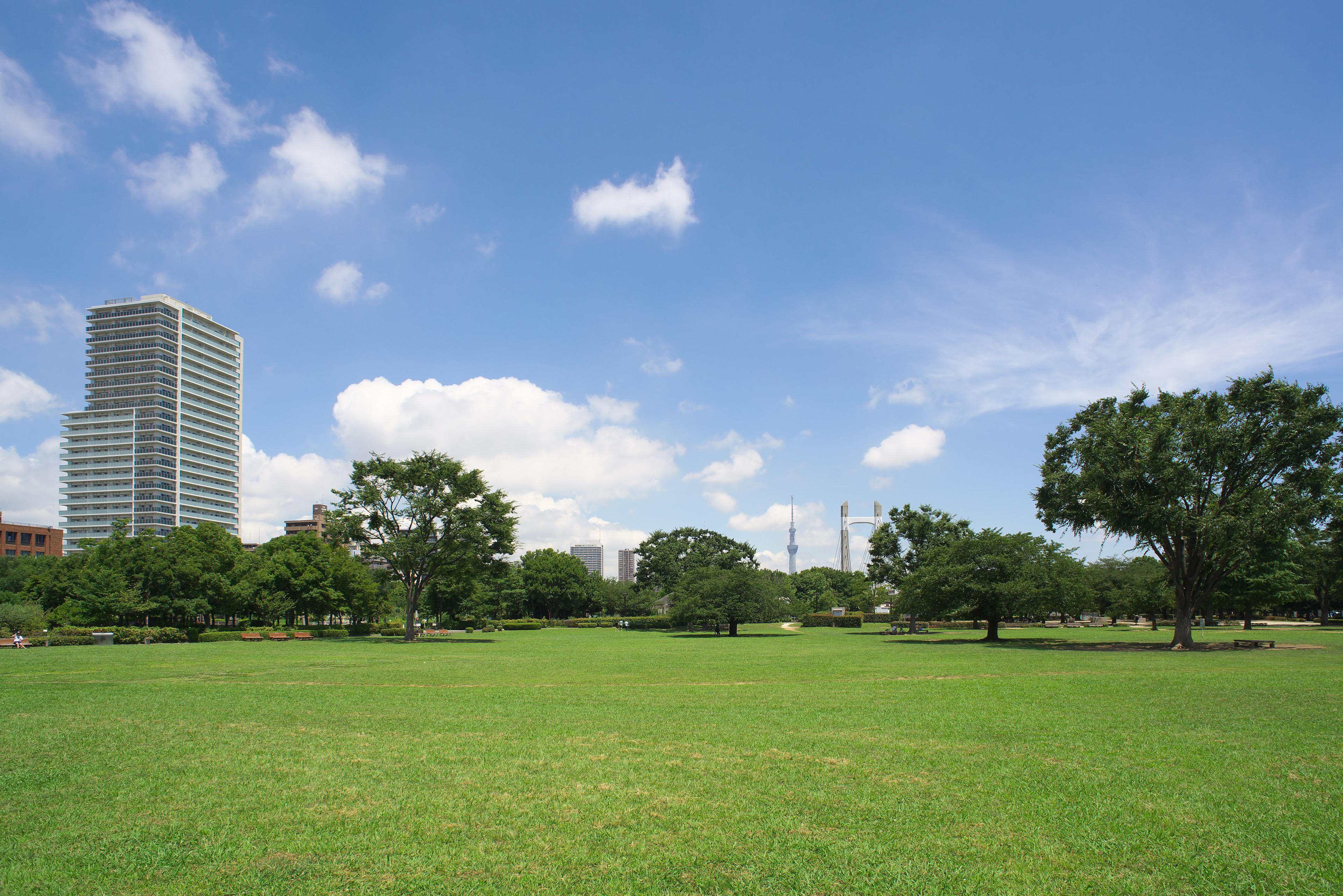 店舗から徒歩1分！木場公園へ行こう！！