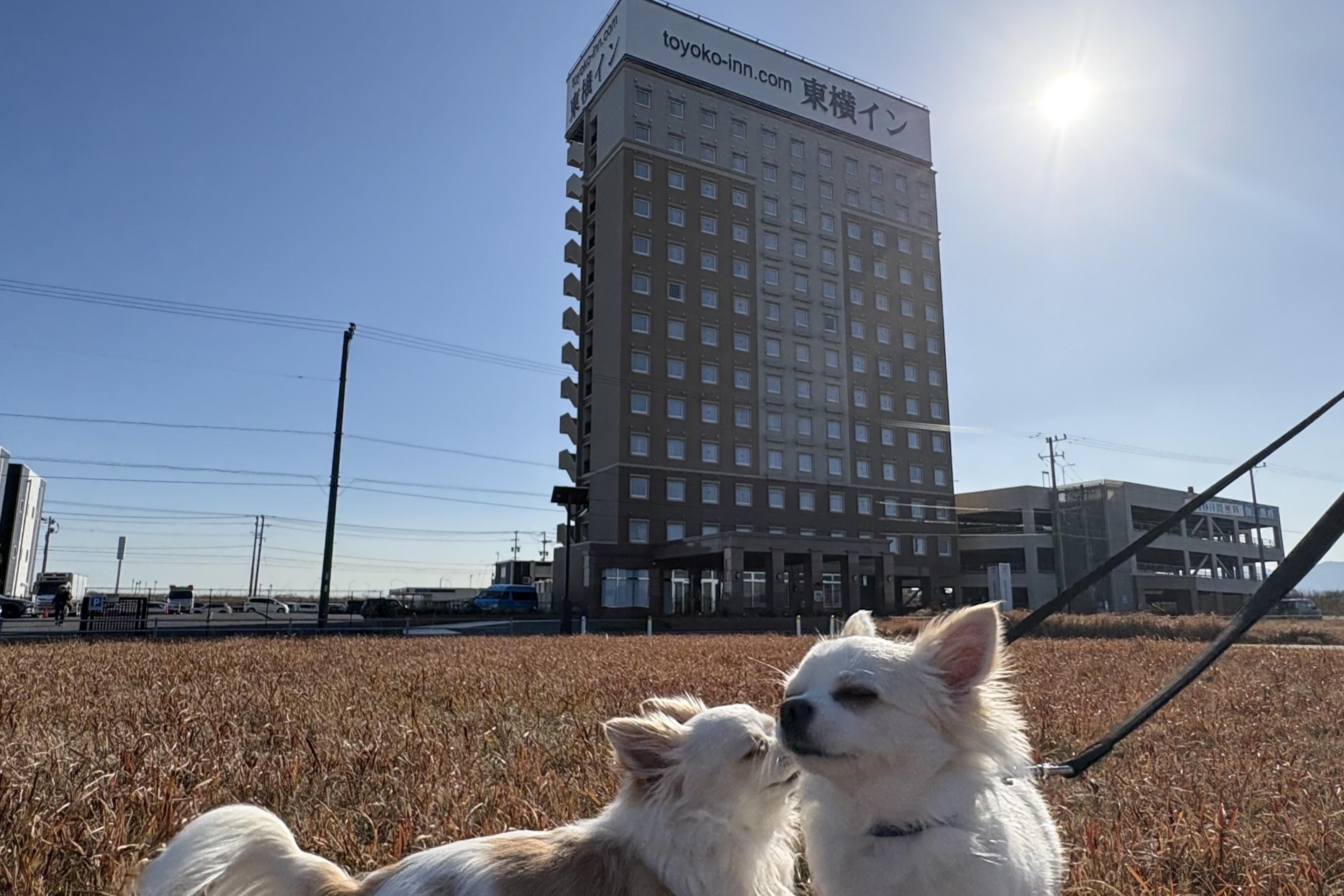 愛犬と一緒にリフレッシュ