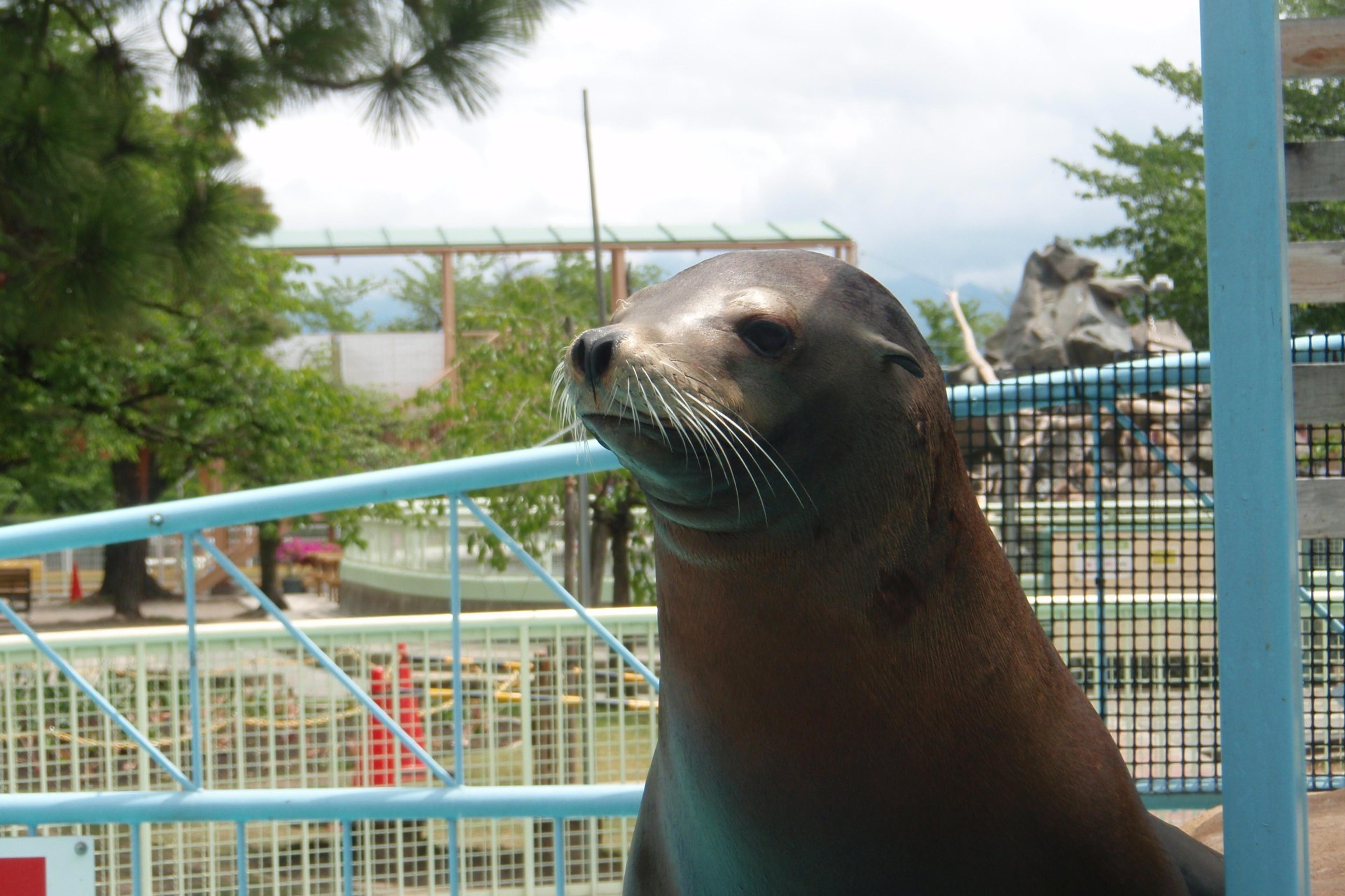 まちの小さな動物園