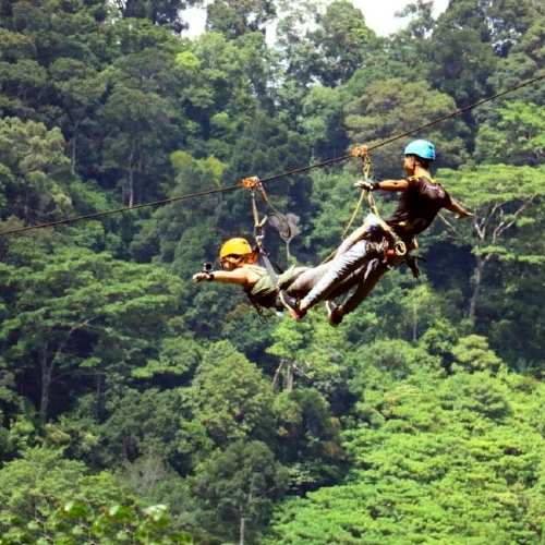 Flying Hanuman Discovery Journey with Return Private Transfer 