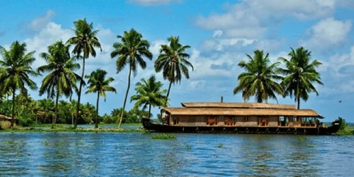 Things To Do In Kerala