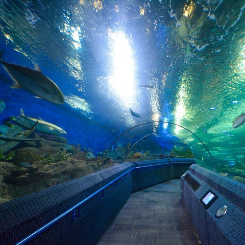 Under Water world with Return Private Transfer