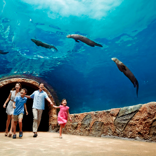 Singapore ZOO + River Wonders (Admission + ARQ Boat Ride) with Return Shared Transfer (8 May, 2025 Onwards)