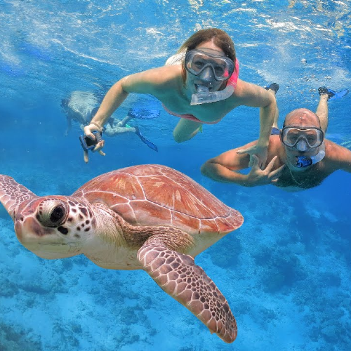 3 Island BBQ Day Cruise Snorkeling Tour with Private Transfer 