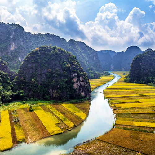  Ninh Binh Hoa Lu Tam Coc with Return Shared Transfer