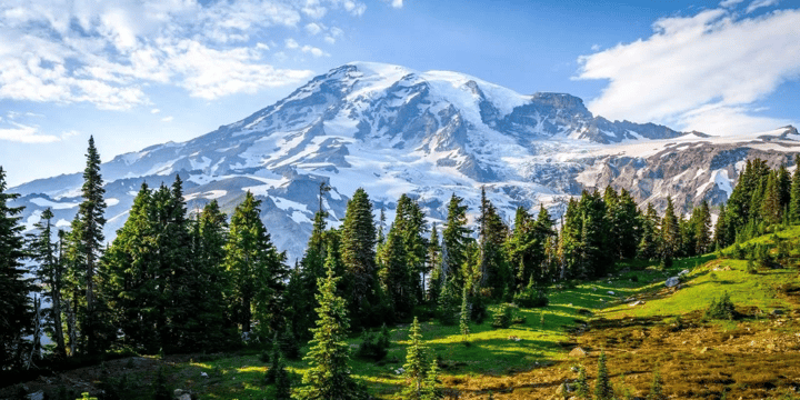 Holiday Packages for USA 