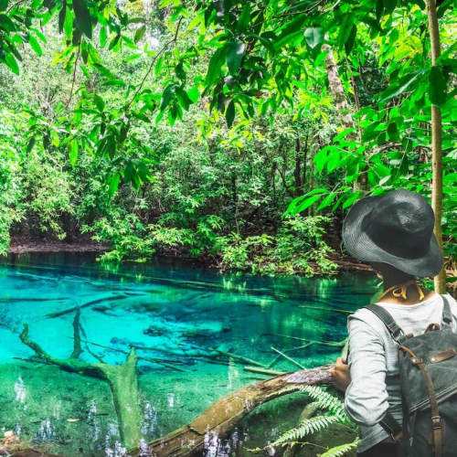 Krabi Jungle Tour (Emerald pool, Hot spring waterfall, Tiger Cave) with Lunch (Excluding N.Park Fee) Shared Transfer