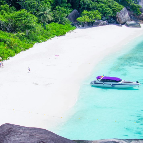 Similan Day trip by speedboat + Lunch + National Park fee with Return Shared Transfer 