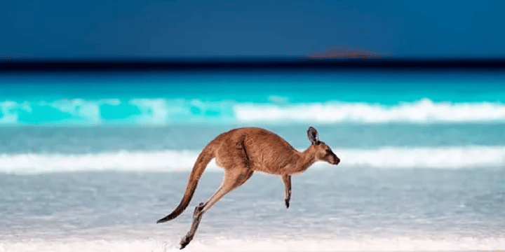 Things To Do In Australia