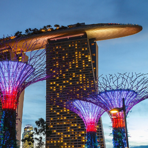 MBS Skypark (Entry before 4 pm) + Gardens by the Bay (Flower Dome + Cloud Forest + Super tree) with Return Shared Transfer ( 29 MAY, 2025 Onwards)