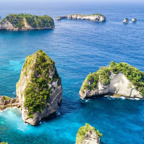 Nusa Penida East Island Tour (Pick up & Tour on Private Basis + Fast Boat on SIC Basis)
