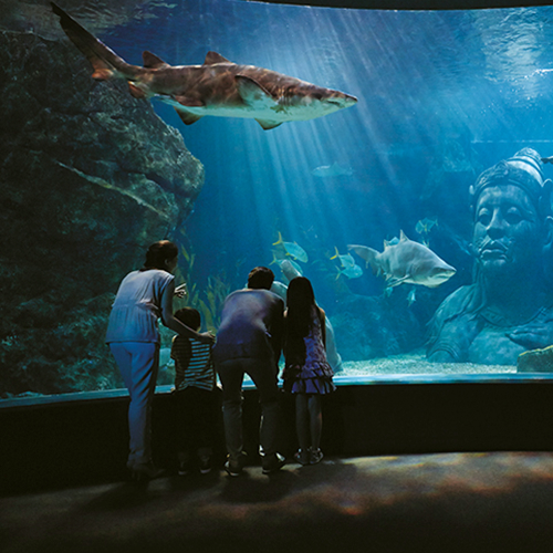 Bangkok Sea Life & Madame Tussauds with Private Transfer