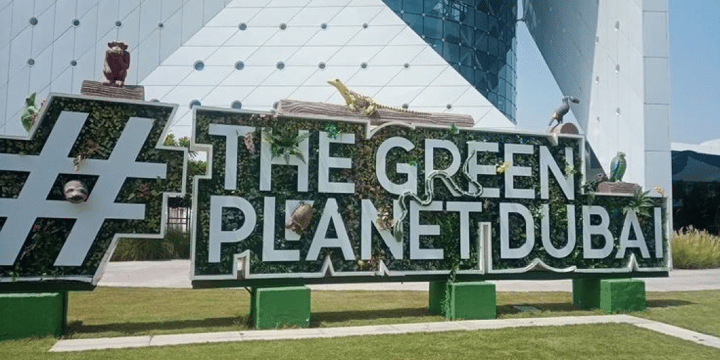 Dubai’s Hidden Jungle: The Green Planet