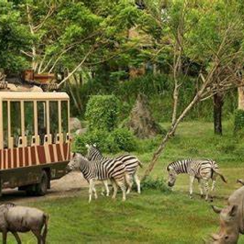 Safari World and Marine Park with Lunch - Private Transfer (Closed on Monday)