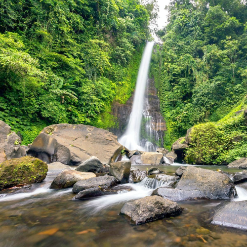 Gitgit Waterfall, Ulun Danu Temple or Bedugul Lake Temple Tour with Return Private Transfer