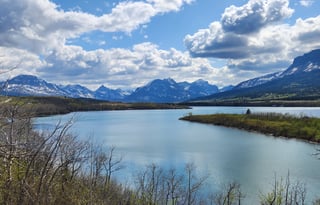 4WD All-Season "Jane" UNLIMITED MILES + Starlink