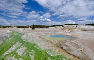 2024 Ford Tremor  Roofnest FREE P/U +STARLINK