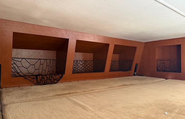 Another view of birds, nest, kids favorite