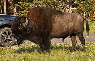 "Casita De Camino"  Ready for a Great Adventure