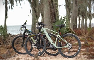 "Arby 1"- Cozy and Comfort 2021 Sprinter Campervan