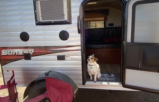 Lil Dipper  2019 SUNRAY 109