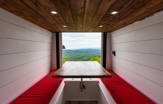 Forest- 2019 Ford Transit Campervan