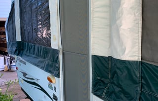 2010 palomino yearling y4103