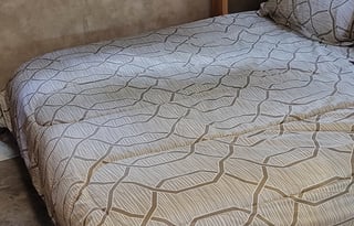 The animal lovers RV