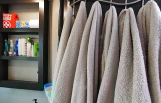 2021 Coach Odyssey 29K - FREE Mobile Wifi