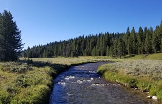 4WD All-Season "Jane" UNLIMITED MILES + Starlink