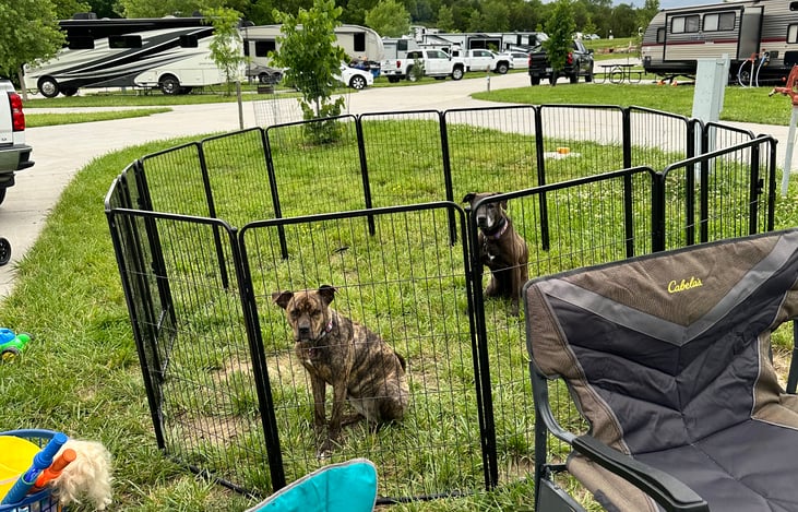 Dog fence included with rental