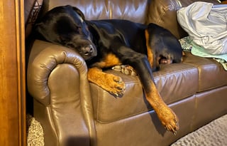 2017 Heartland Landmark 365 Madison