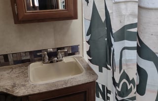 2017 Forest River Salem