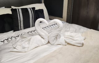 Disaster Response Eligible - with discount - LuxRV