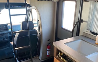 2020 Winnie the Wanderer