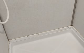 Summer Breeze & Salty Air