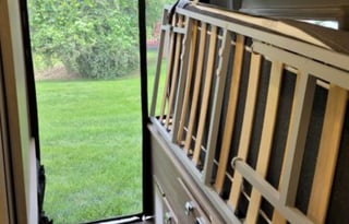 Dolly the friendly Camper