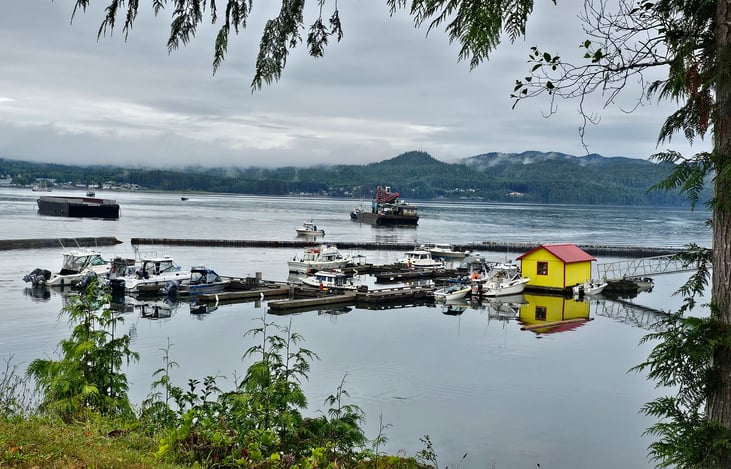 Port Pardy Vancouver Island BC Canada  7/2024