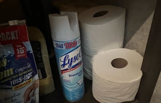 2019 Forest River RV Cherokee Wolf Pup 16FQ