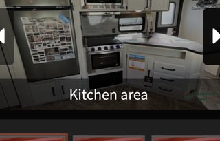 Zwisle's Galloping Palomino